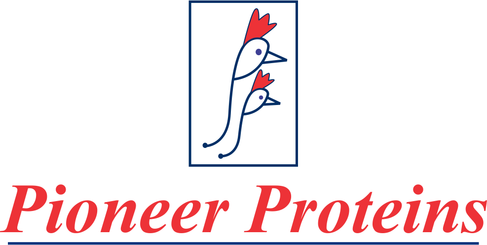 Broiler Wholesale in Chennai, Chicken Retailers in Chennai